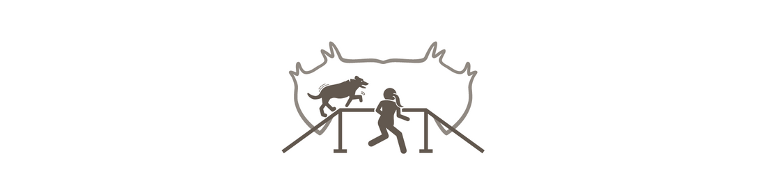 Die perfekte Leine für den Agility Hundesport