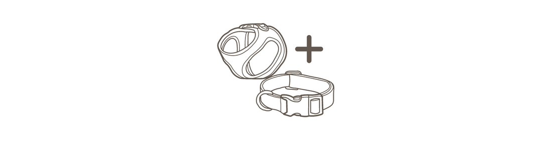 Beste Kombination: Geschirr + Halsband!
