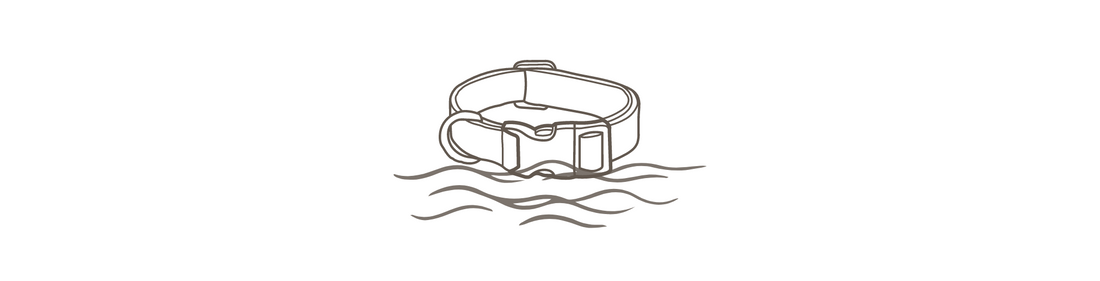 Das richtige Halsband für Wasserratten