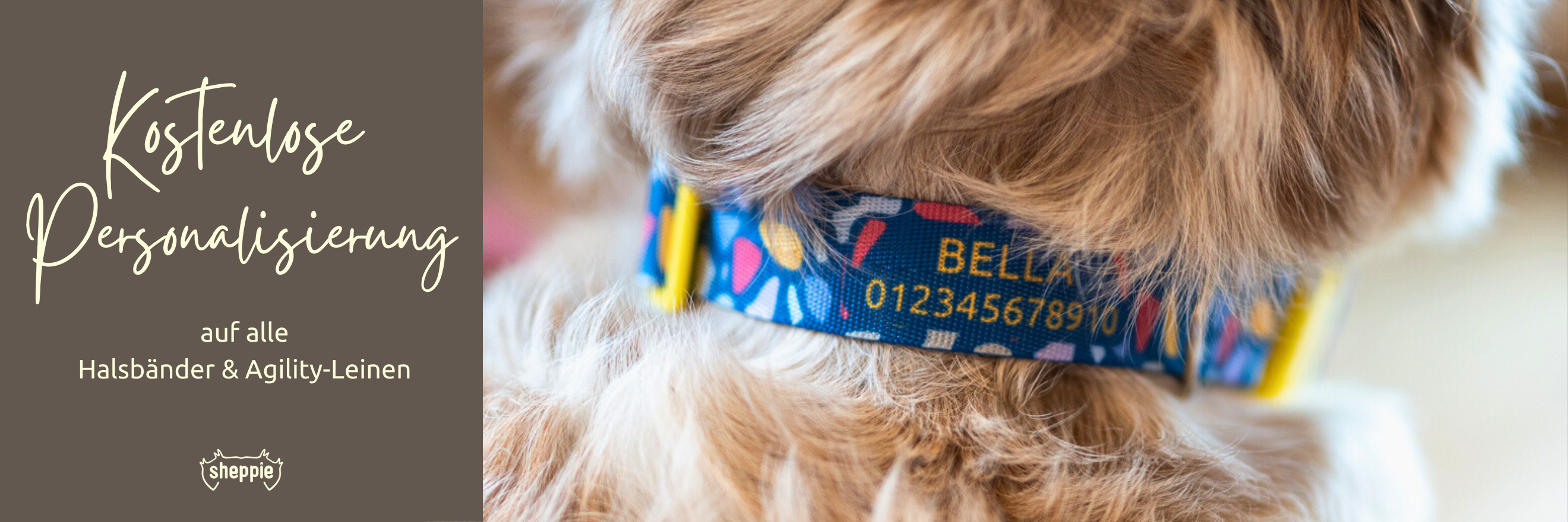 Handgefertigte Hundehalsbänder und Hundeleinen mit kostenloser Personalisierung mit Name und Telefonnummer