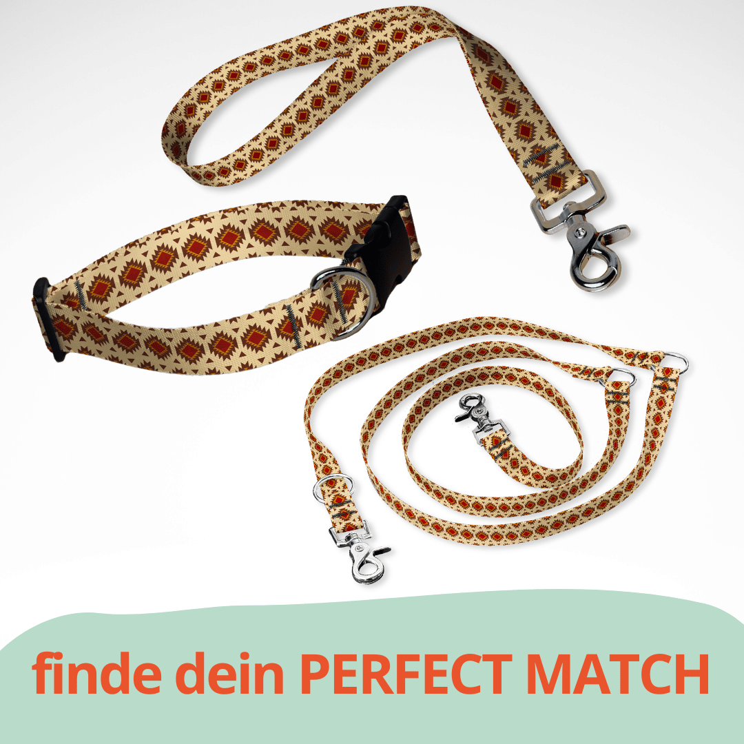 Set aus dreifach verstellbarer Hundeleine und Hundehalsband mit kostenloser Personalisierung mit Scherenkarabiner, Aztek braun rot