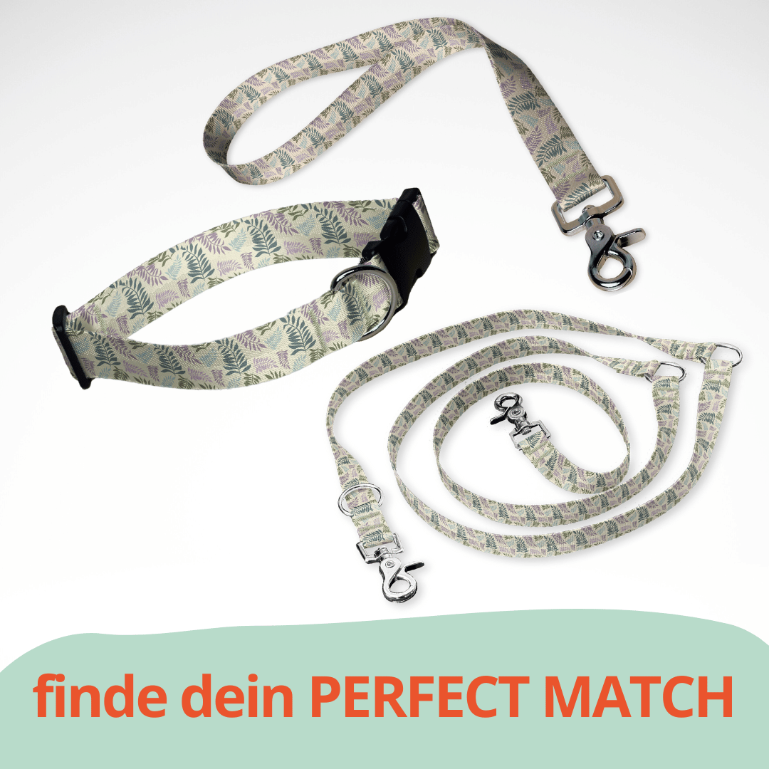 Set aus dreifach verstellbarer Hundeleine und Hundehalsband mit kostenloser Personalisierung mit Scherenkarabiner, beige Farn