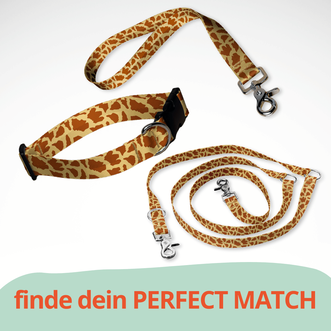 Set aus dreifach verstellbarer Hundeleine und Hundehalsband mit kostenloser Personalisierung mit Scherenkarabiner, Giraffe Animal Print