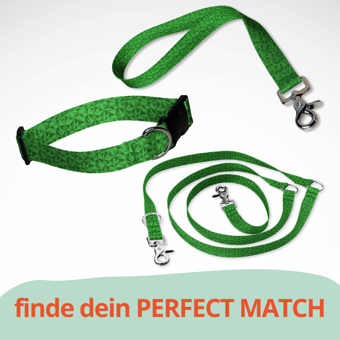 Set aus dreifach verstellbarer Hundeleine und Hundehalsband mit kostenloser Personalisierung mit Scherenkarabiner, 3D grün