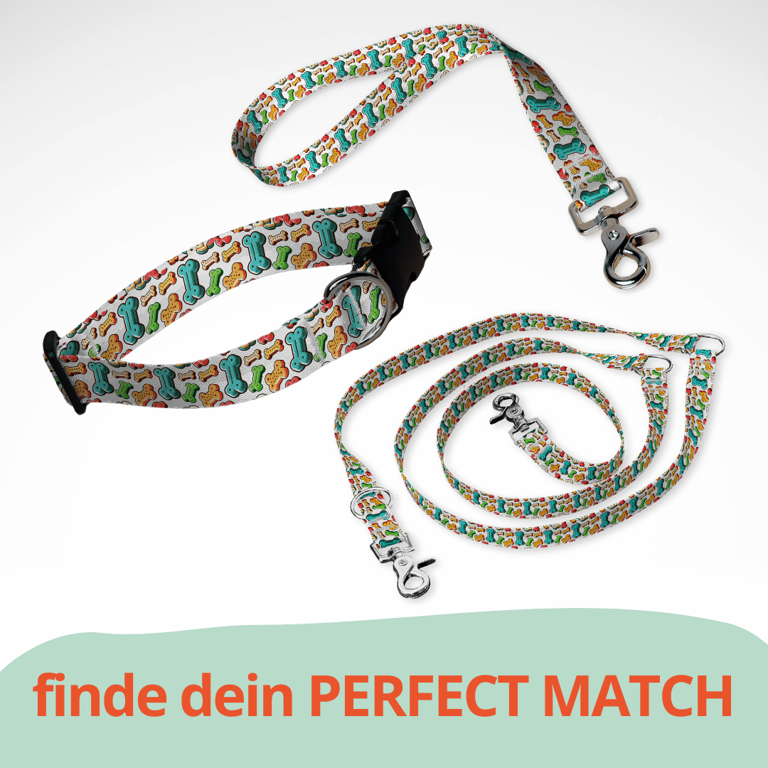 Set aus dreifach verstellbarer Hundeleine und Hundehalsband mit kostenloser Personalisierung mit Scherenkarabiner, Hundekekse bunt