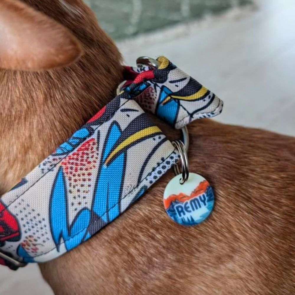 Nahaufnahme einer Mountain Sea Hundemarke von Sheppie mit dem Namen Remy, passend zu seinem Halsband