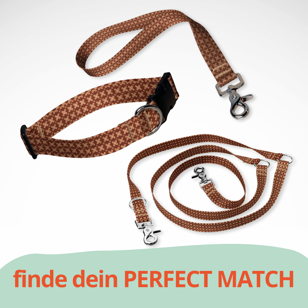 Set aus dreifach verstellbarer Hundeleine und Hundehalsband mit kostenloser Personalisierung mit Scherenkarabiner, braunes Luxus Design