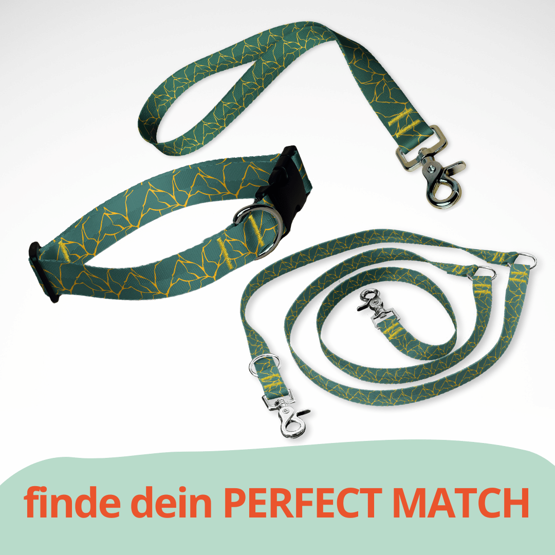 Set aus dreifach verstellbarer Hundeleine und Hundehalsband mit kostenloser Personalisierung mit Scherenkarabiner, gold dunkelgrün Marmor
