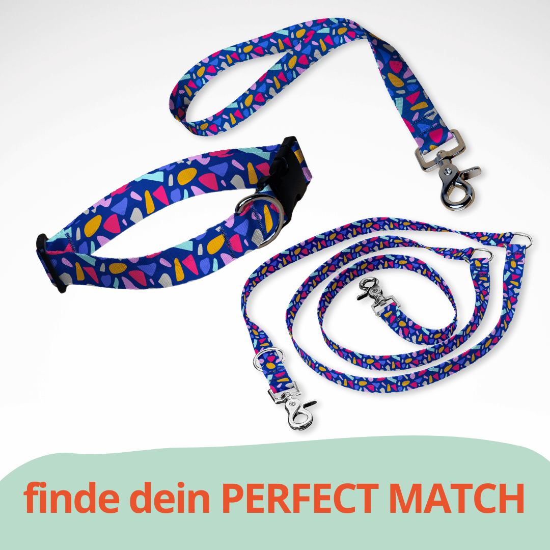 Set aus dreifach verstellbarer Hundeleine und Hundehalsband mit kostenloser Personalisierung mit Scherenkarabiner, buntes Mosaik