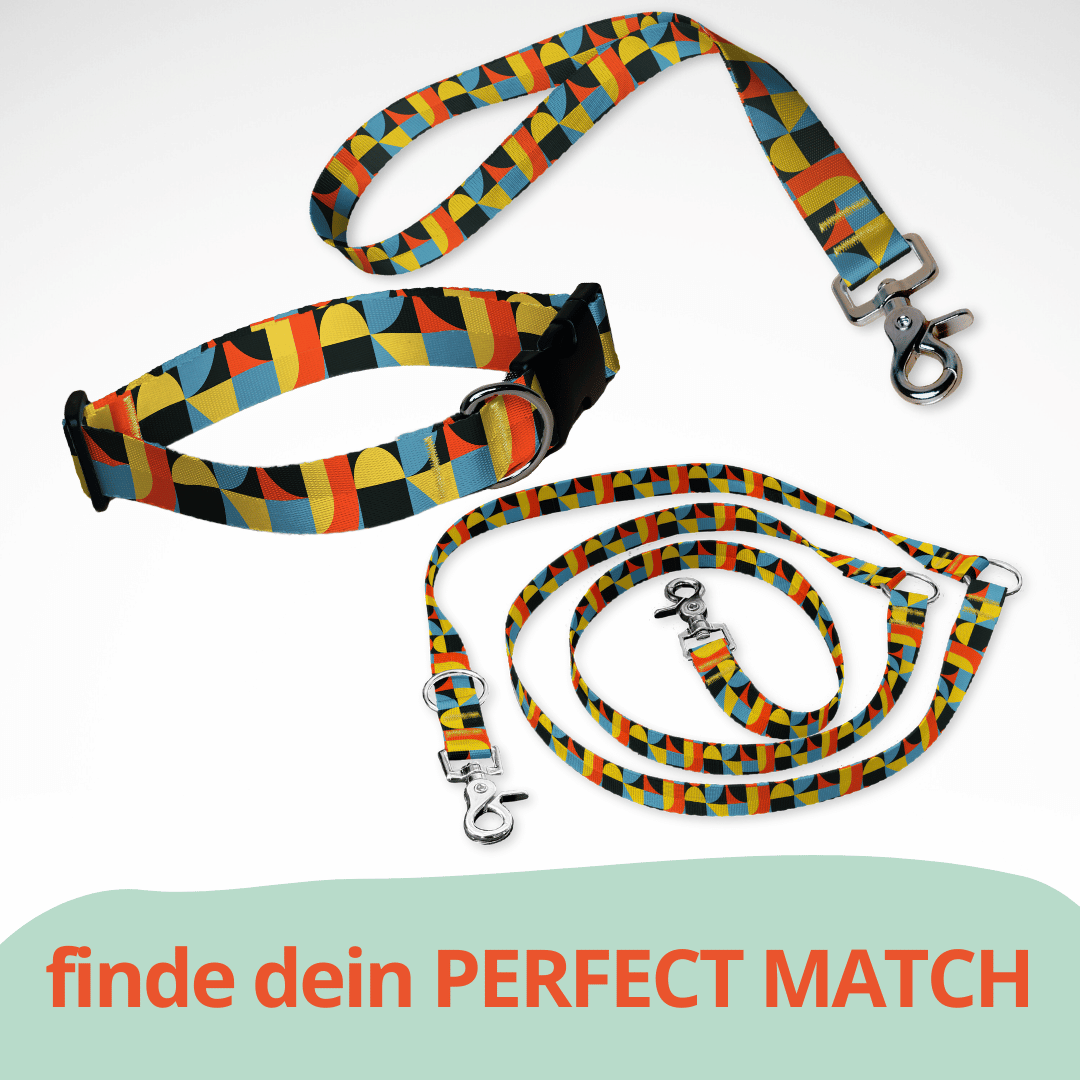 Set aus dreifach verstellbarer Hundeleine und Hundehalsband mit kostenloser Personalisierung mit Scherenkarabiner, 1970er Retro
