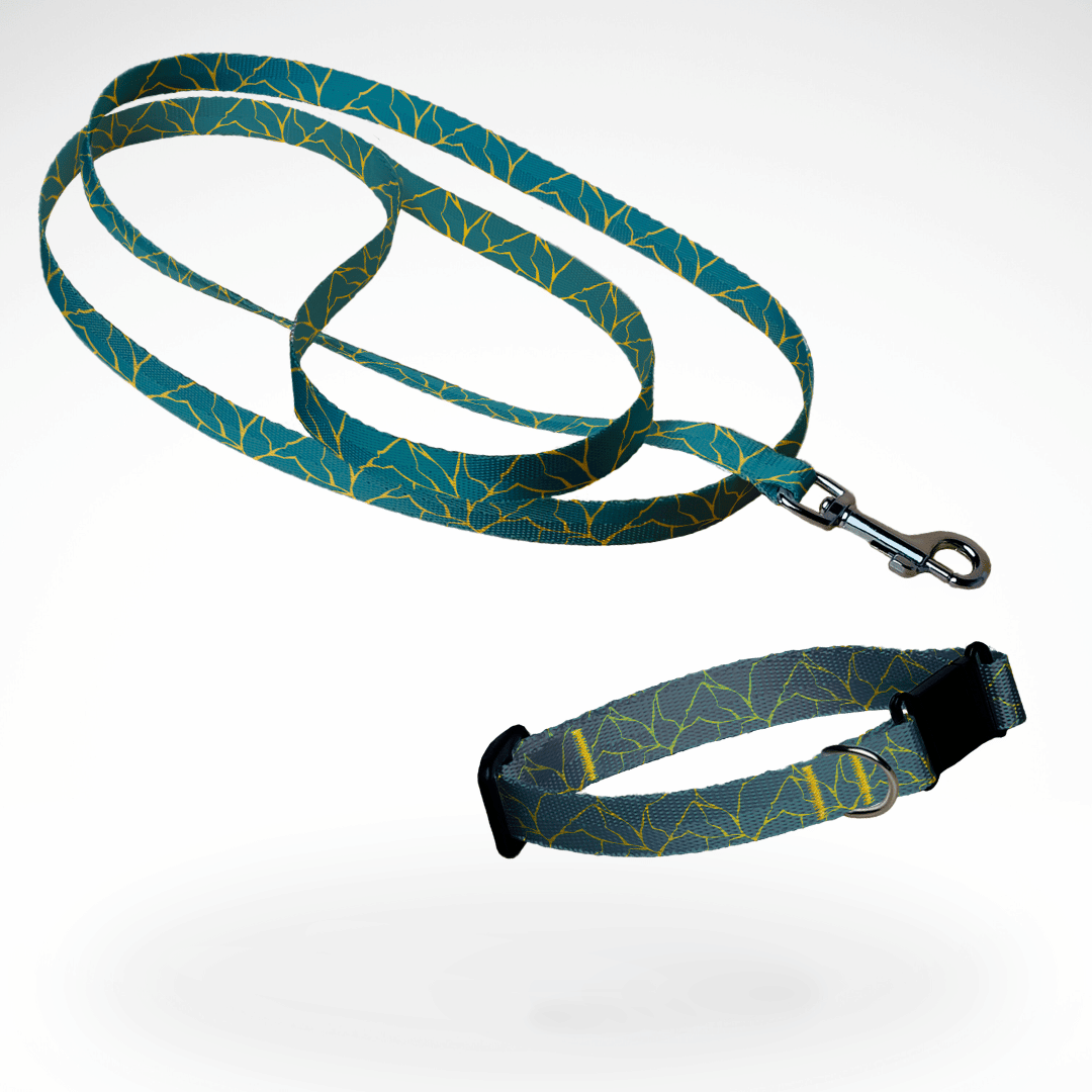 Starterset mit Hundeleine und Hundehalsband für Züchter und Hundekäufer