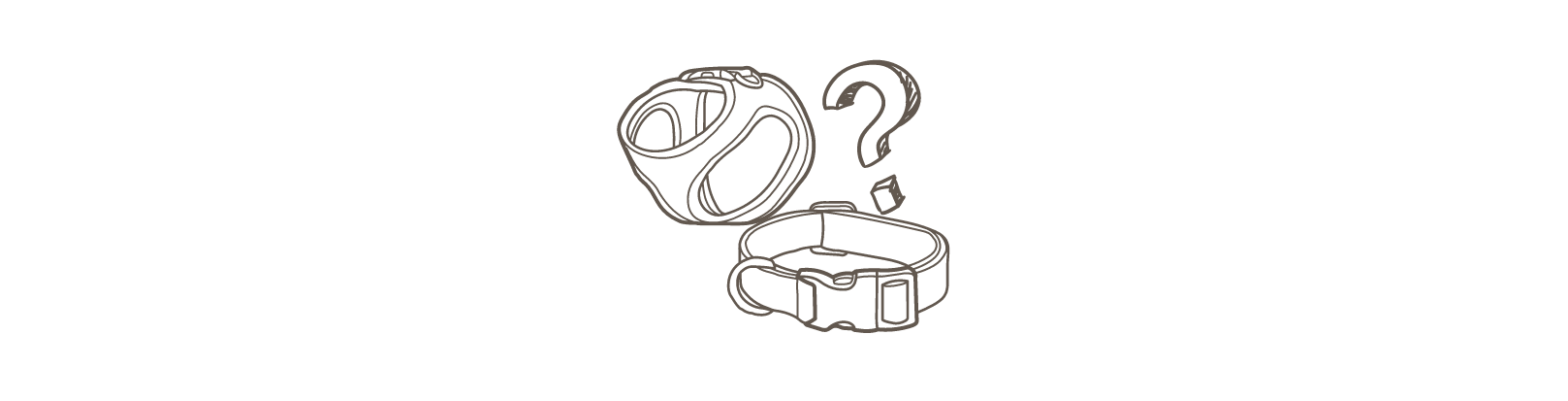 Geschirr oder Halsband: Was ist besser?
