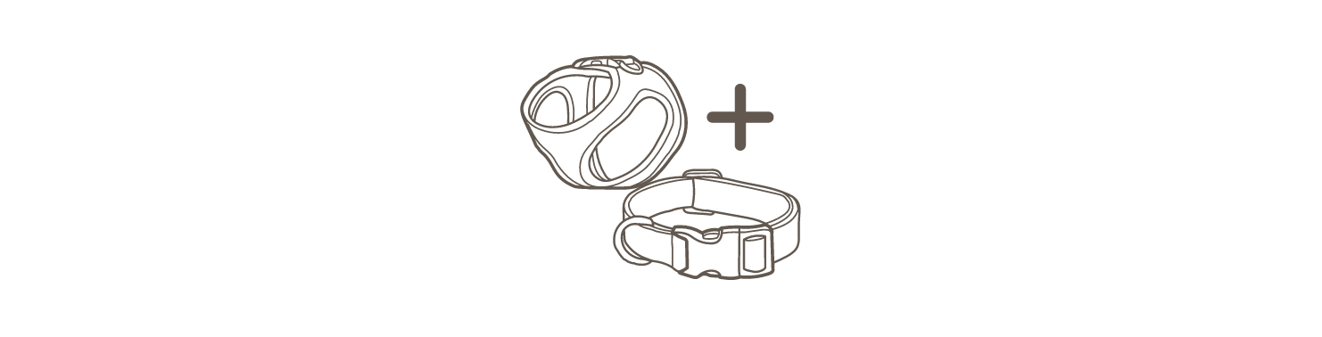 Beste Kombination: Geschirr + Halsband!