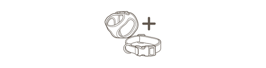 Beste Kombination: Geschirr + Halsband!