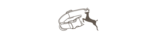 Jagdhalsband mit Name & Telefonnummer
