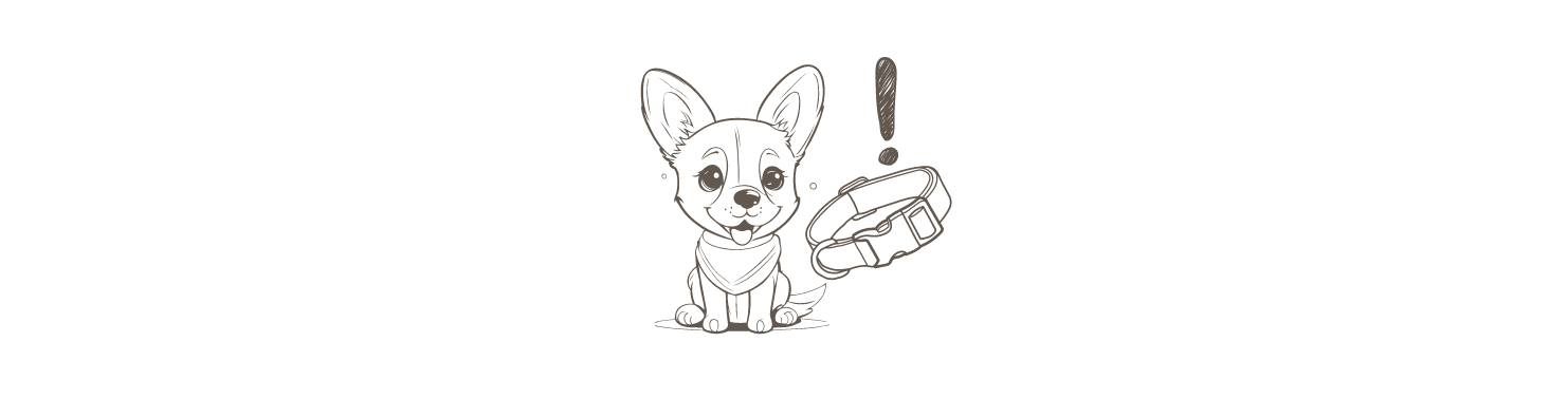 Worauf beim Kauf eines Hundehalsbands für kleine Rassen achten?
