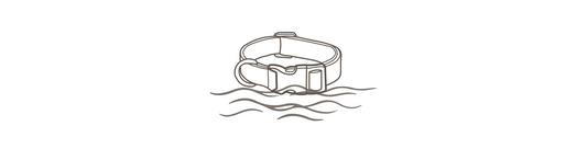 Das richtige Halsband für Wasserratten
