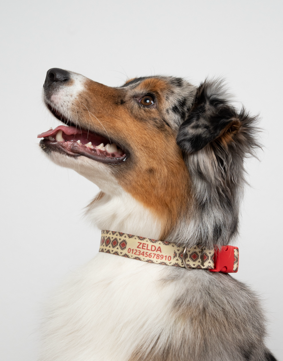 Ein fröhlicher Australian Shepherd trägt ein personalisiertes Hundehalsband mit Atztek Muster in beige und rot.