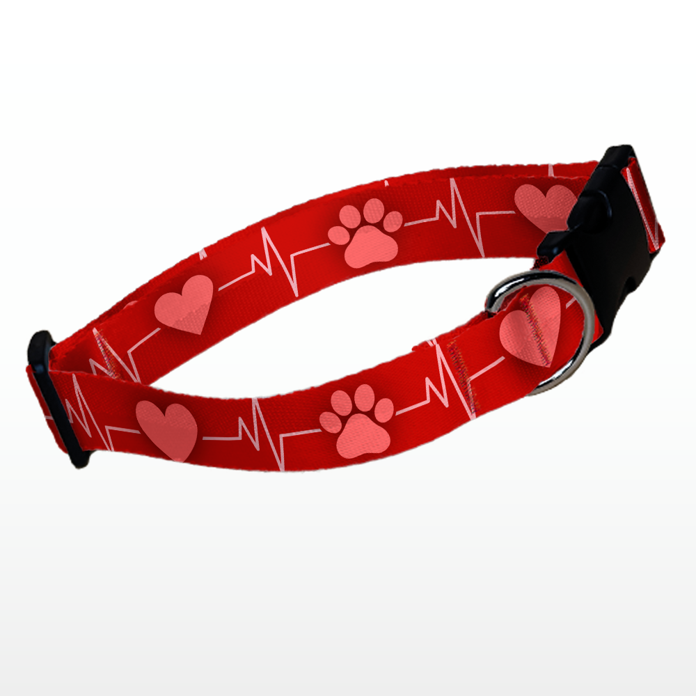 Herzschlag Halsband | EKG Pfote
