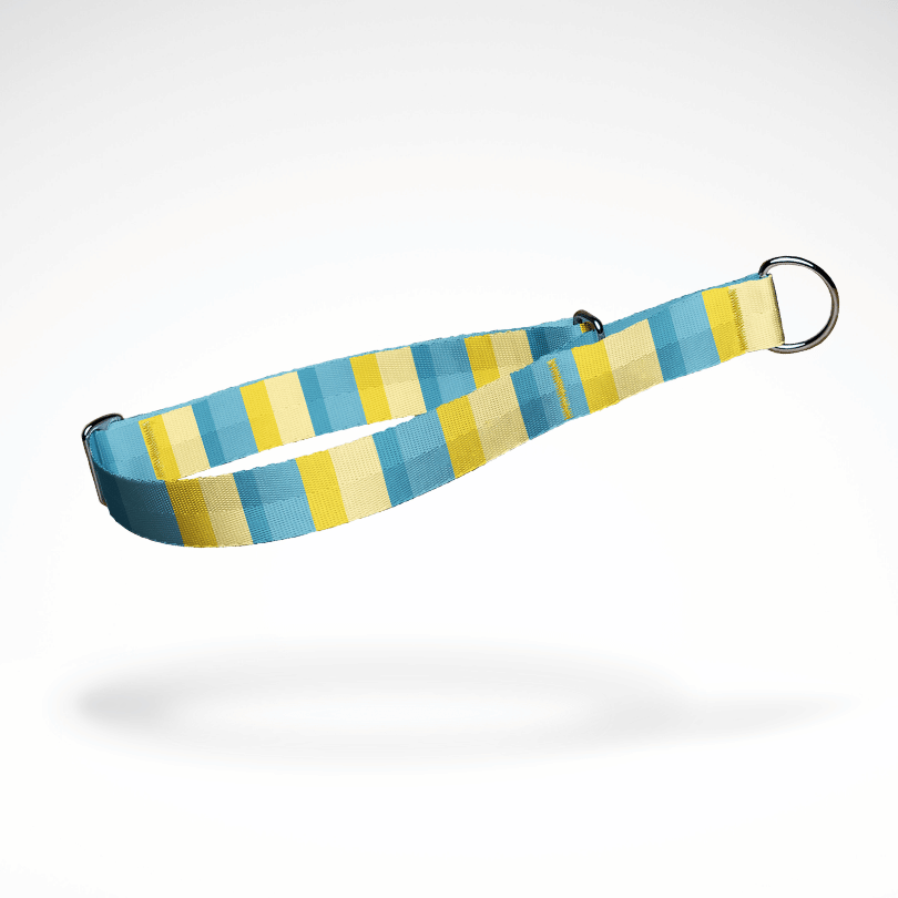 Zugstopp Halsband | Martingale | Schlupfhalsband | kostenlose Personalisierung | Beach Vibe Blau Gelb | größenverstellbar