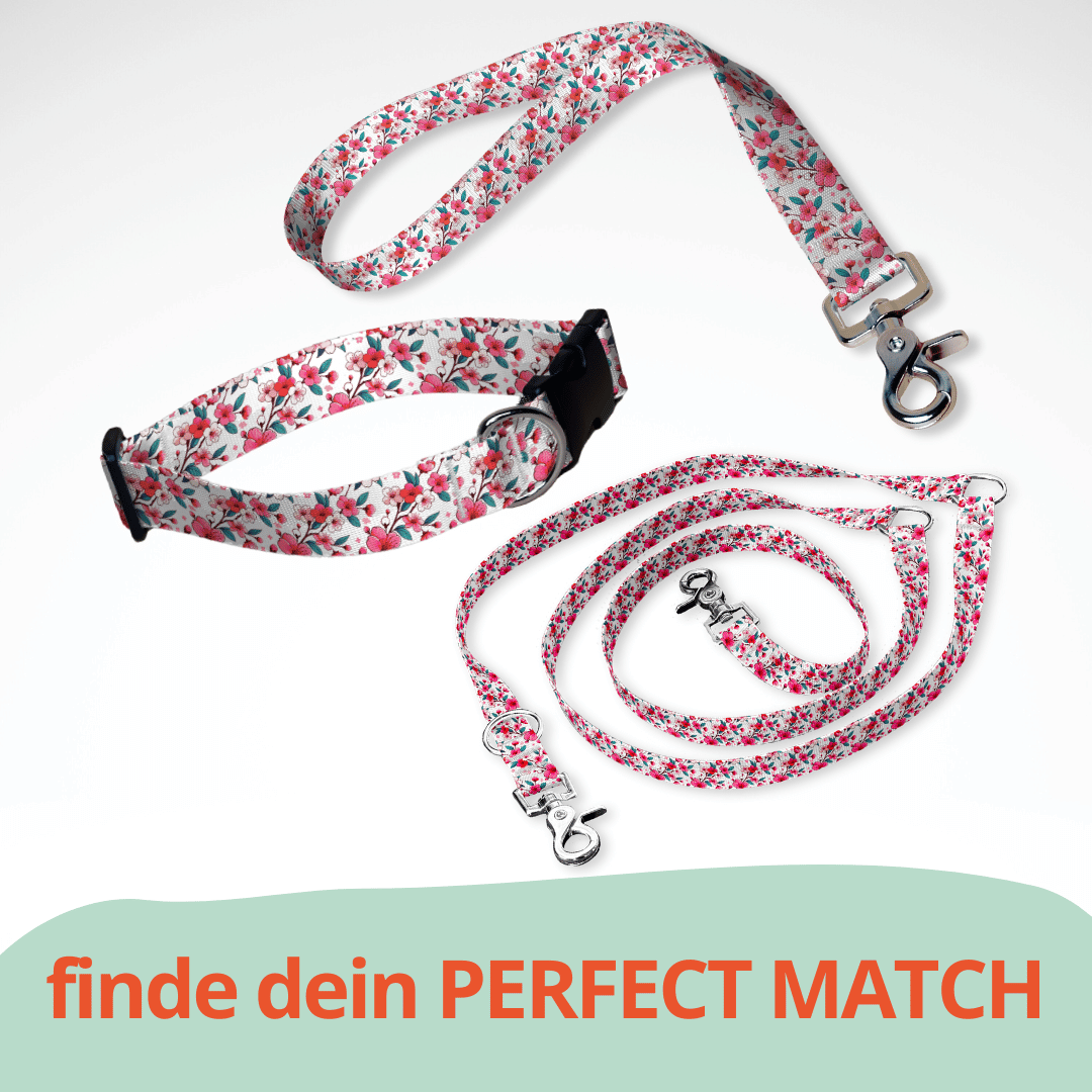 Set aus dreifach verstellbarer Hundeleine und Hundehalsband mit kostenloser Personalisierung mit Scherenkarabiner, Kirschblüten pink