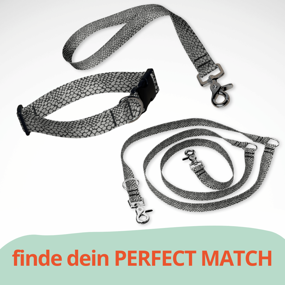 Set aus dreifach verstellbarer Hundeleine und Hundehalsband mit kostenloser Personalisierung mit Scherenkarabiner, Schlange Animal Print