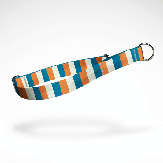 Zugstopp Halsband | Martingale | Schlupfhalsband | kostenlose Personalisierung | Coral Reef Orange Blau | größenverstellbar