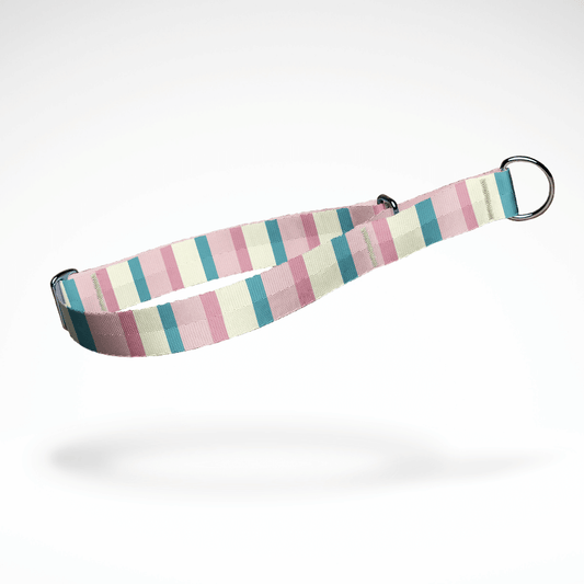 Zugstopp Halsband | Martingale | Schlupfhalsband | kostenlose Personalisierung | Pastell Pink | größenverstellbar