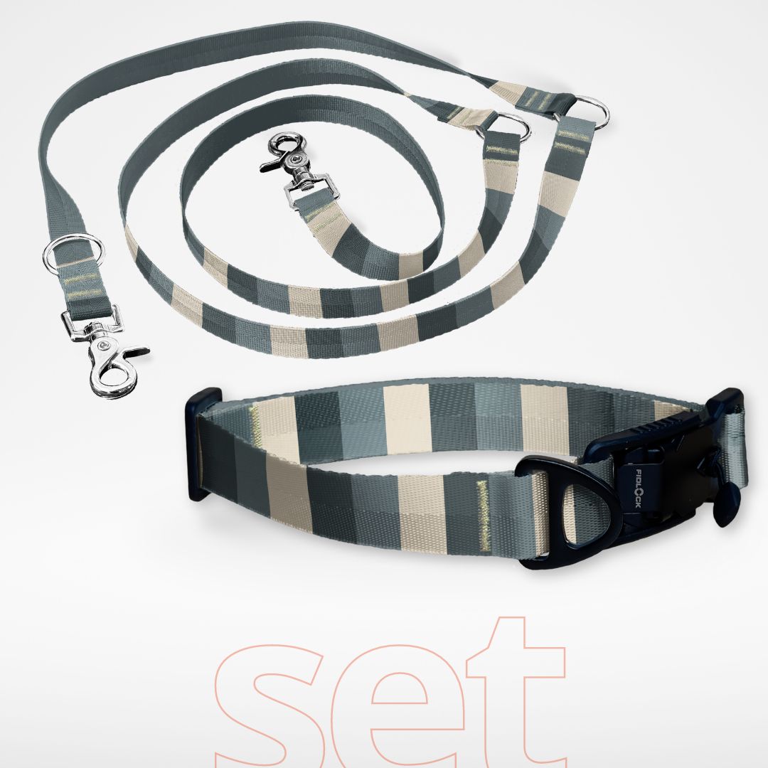 Set aus Hundehalsband mit FIDLOCK Verschluss und dreifach verstellbarer Hundeleine mit gestreiftem Muster, gratis personalisiert mit Namen und Nummer