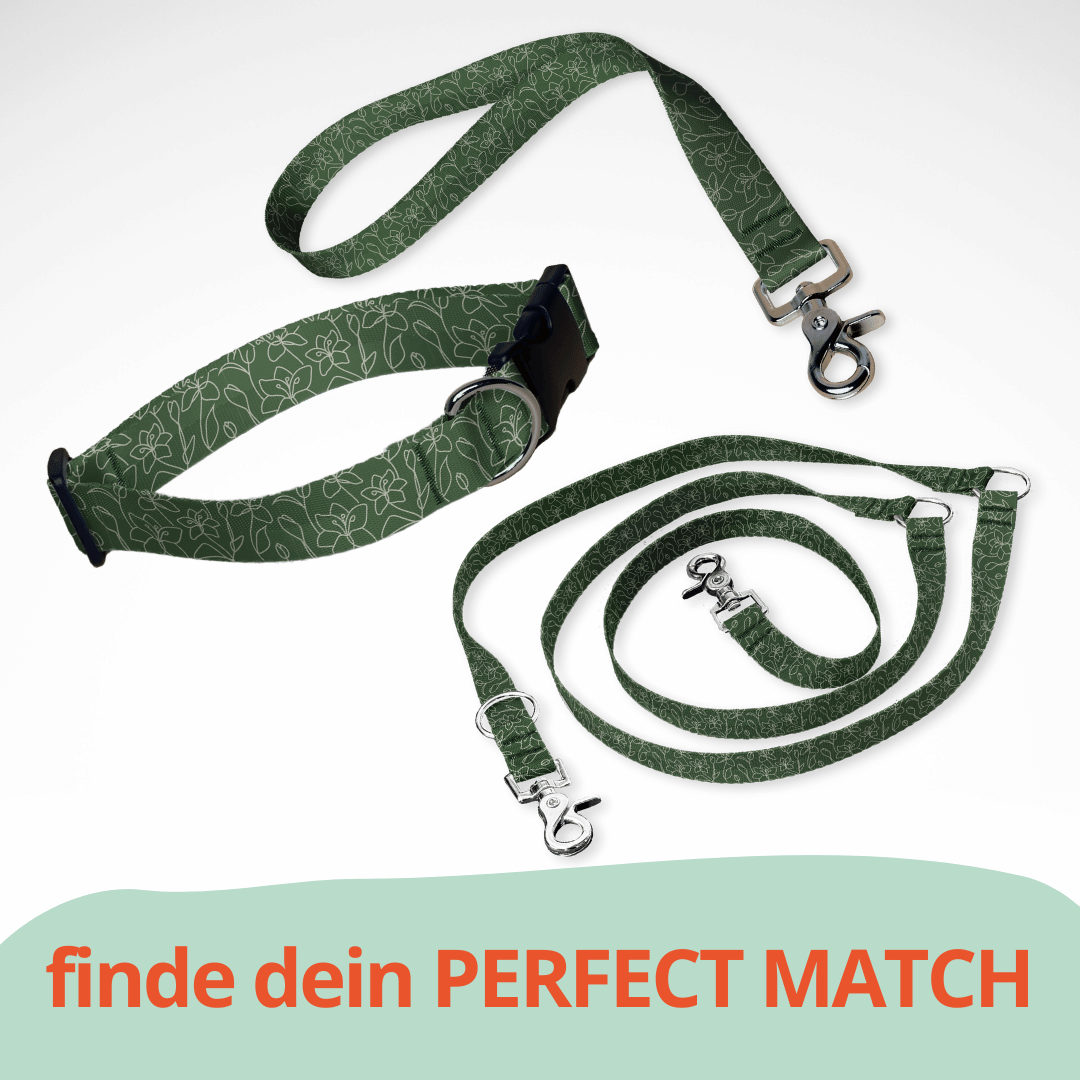 Set aus dreifach verstellbarer Hundeleine und Hundehalsband mit kostenloser Personalisierung mit Scherenkarabiner, Fineline Blumen grün