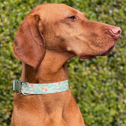 Viszla trägt das Green Boho Hundehalsband mit zarten Pastellfarben – exklusives Design von Sheppie x rubyvizslagirl