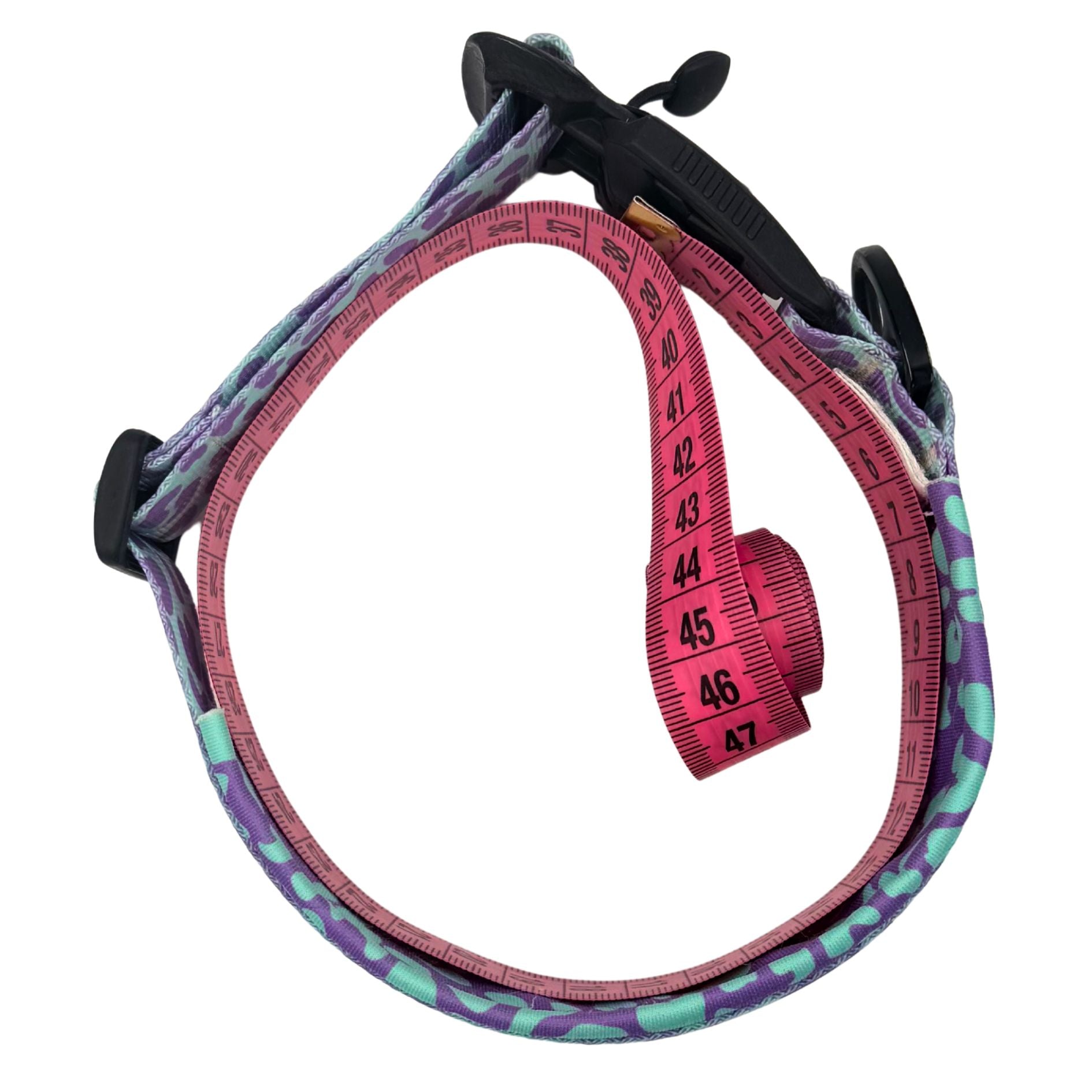 Liegendes Hundehalsband mit Maßband zum abmessen des Halsumfangs eines vorhandenen Halsbands
