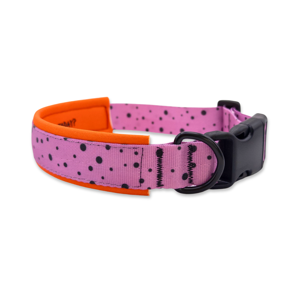 Pink-oranges Hundehalsband für Hunde mit gepolstertem Neopren, schwarzer Schnalle, schwarzem D-Ring und auffälligem Drachenfrucht-Muster mit Punkten.