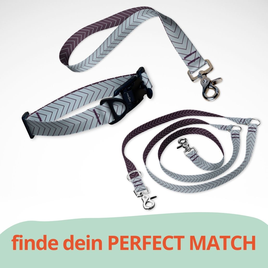 Set mit Hundehalsband mit FIDLOCK Magnetverschluss, Kurzführer und Leine. Skyward blau lila