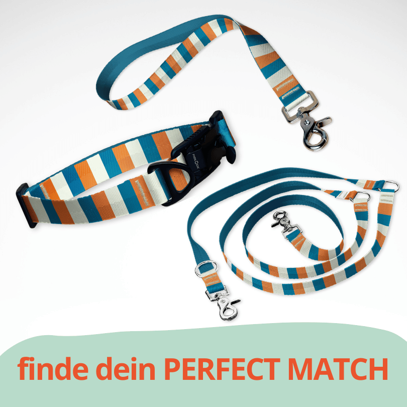 Set mit Hundehalsband mit FIDLOCK Magnetverschluss, Kurzführer und Leine. Ein sommerliches Muster in orange, blau gestreift.