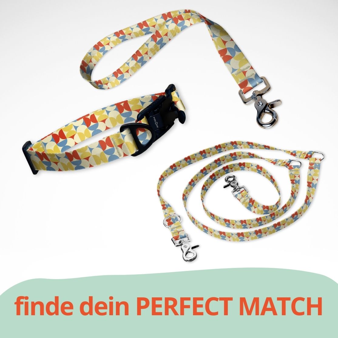 Set mit Hundehalsband mit FIDLOCK Magnetverschluss, Kurzführer und Leine. Buntes Muster