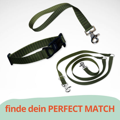 Set mit Hundehalsband mit FIDLOCK Magnetverschluss, Kurzführer und Leine. Grüne Farben