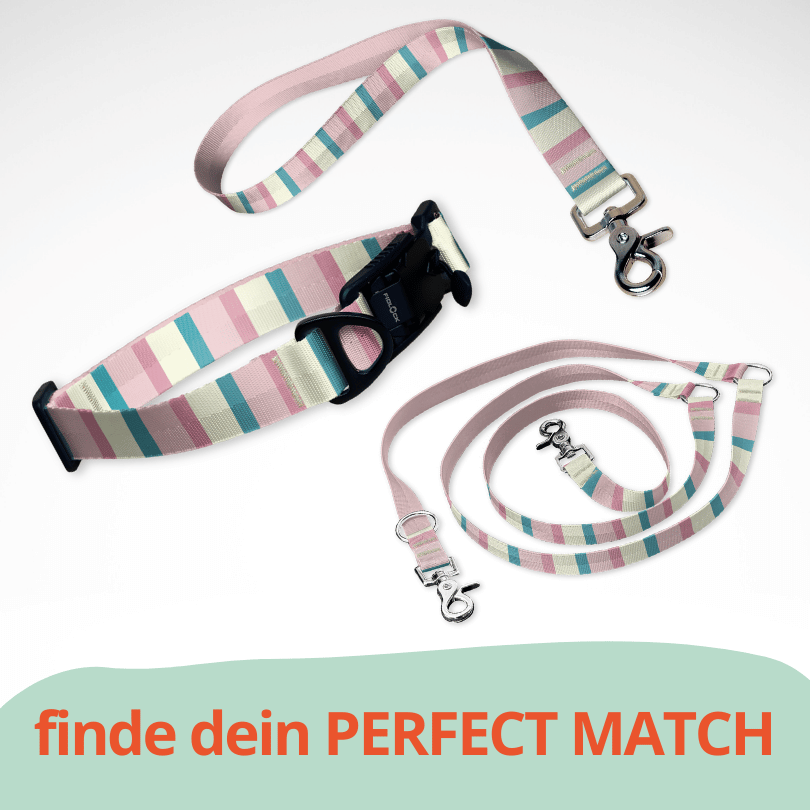 Set mit Hundehalsband mit FIDLOCK Magnetverschluss, Kurzführer und Leine. Ein sommerliches Muster in Pastell pink, blau gestreift.