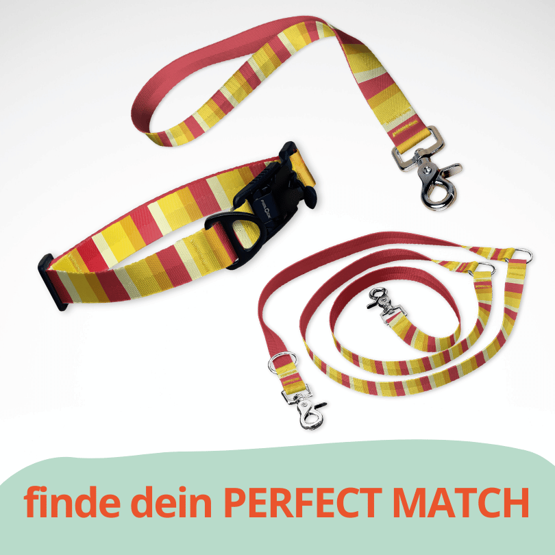 Set mit Hundehalsband mit FIDLOCK Magnetverschluss, Kurzführer und Leine. Ein sommerliches Muster in rot, gelb gestreift.