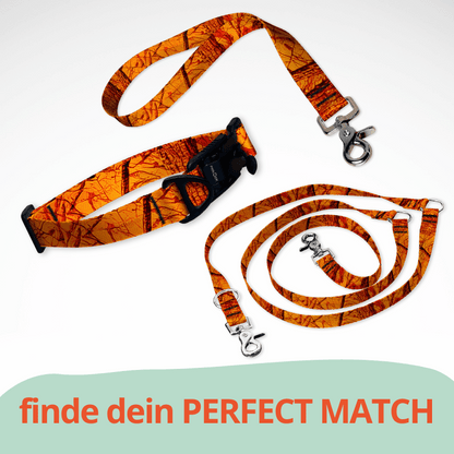 Set mit Hundehalsband mit FIDLOCK Magnetverschluss, Kurzführer und Leine. Ein sommerliches Muster in Tarnmuster Jagd orange gestreift.