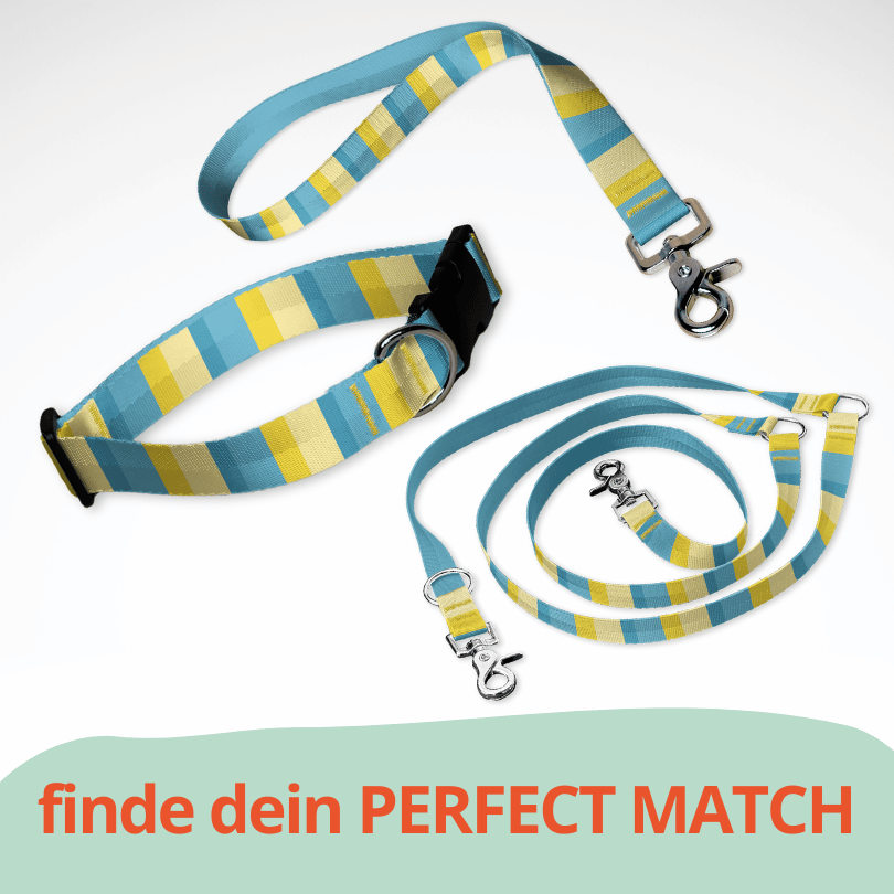 Set mit Hundehalsband mit Klickverschluss, Kurzführer und Leine. Ein sommerliches Muster in blau, gelb gestreift.