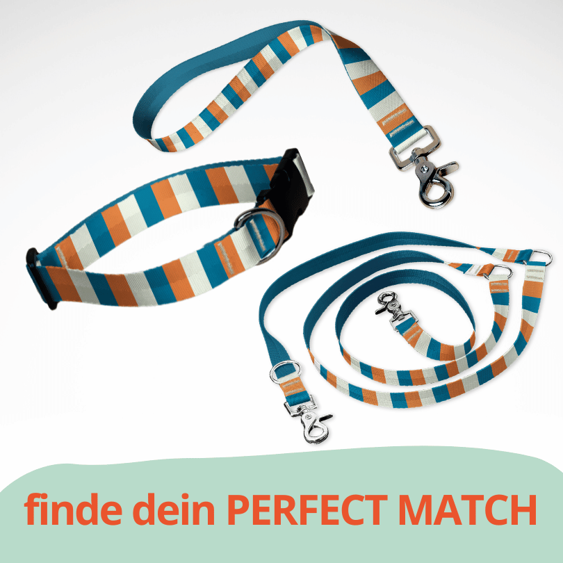 Set mit Hundehalsband mit Klickverschluss, Kurzführer und Leine. Ein sommerliches Muster in orange, blau gestreift.