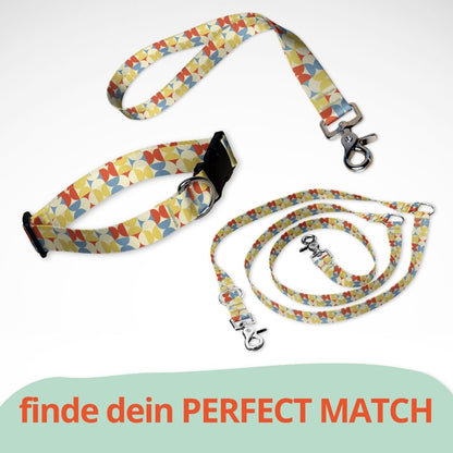 Set mit Hundehalsband mit Klickverschluss, Kurzführer und Leine. buntes Muster