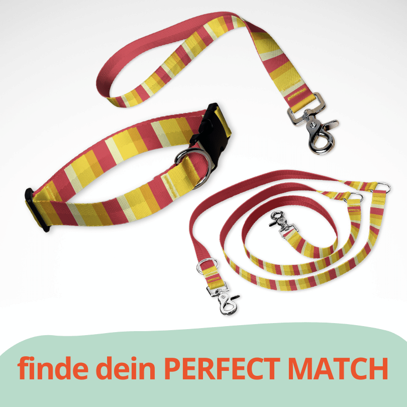 Set mit Hundehalsband mit Klickverschluss, Kurzführer und Leine. Ein sommerliches Muster in orange, rot, gelb gestreift.