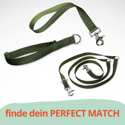 Set mit Hundehalsband mit Zugstopp, Kurzführer und dreifach verstellbarer Hundeleine. Grün gestreift