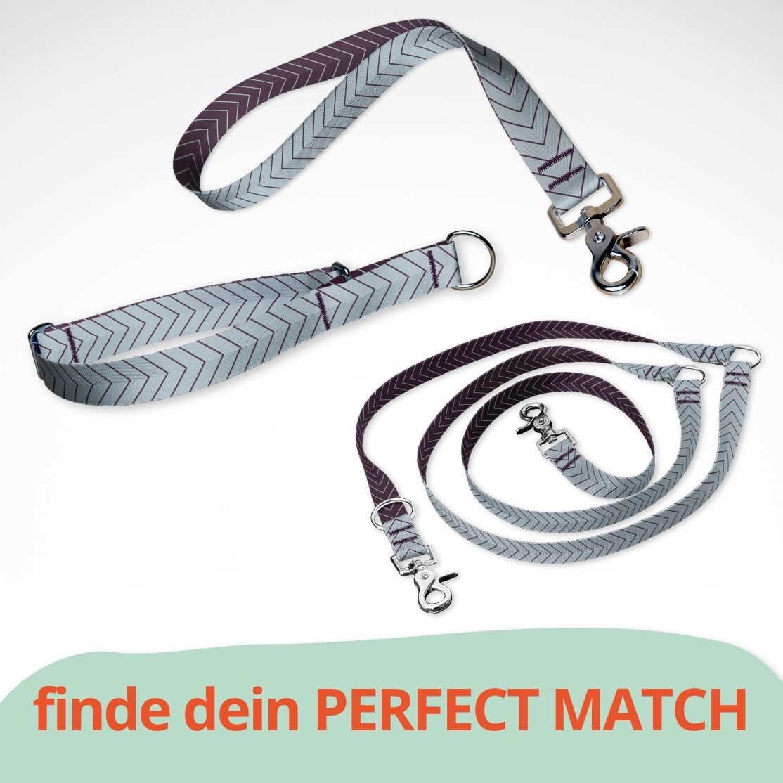 Set mit Hundehalsband mit Zugstopp, Kurzführer und dreifach verstellbarer Hundeleine. Hellblau Lila Skyward