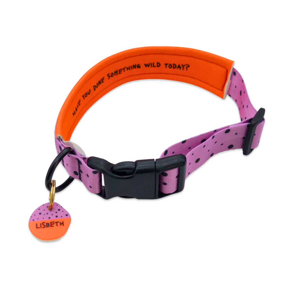 Pink-oranges Hundehalsband mit schwarzem Verschluss, lila Außenband mit schwarzen Punkten, orangefarbener Innenseite und passender personalisierter Hundemarke.