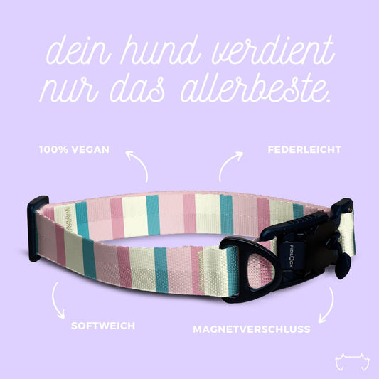 Vorteile des FIDLOCK V-Buckle Hundehalsband von Sheppie