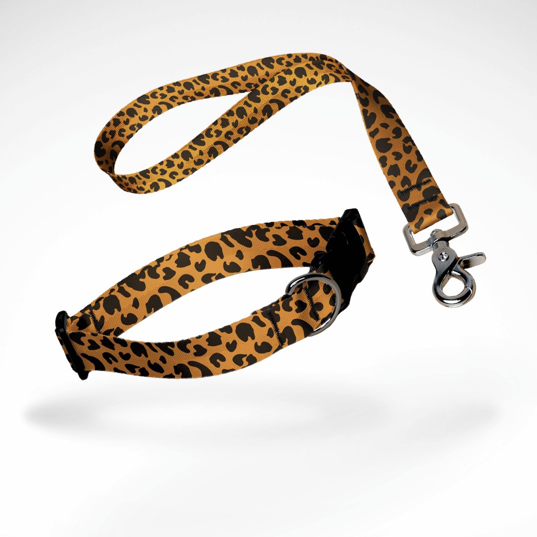 Set aus kurzer Hundeleine, Kurzführer, und Hundehalsband mit kostenloser Personalisierung mit Scherenkarabiner, Animal Print Leopard