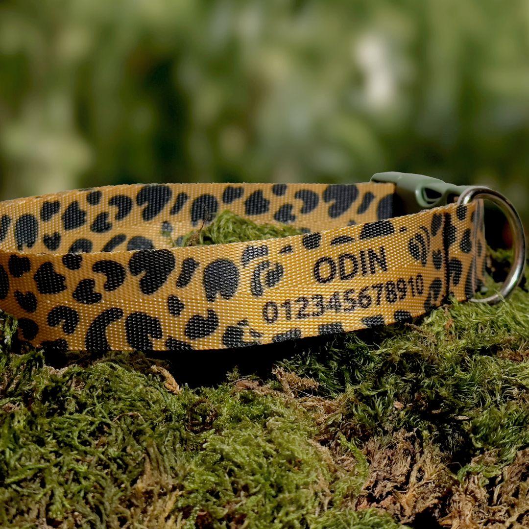 Personalisiertes Hundehalsband mit Name und Telefonnummer. Als Beispiel. Mit Leo Print